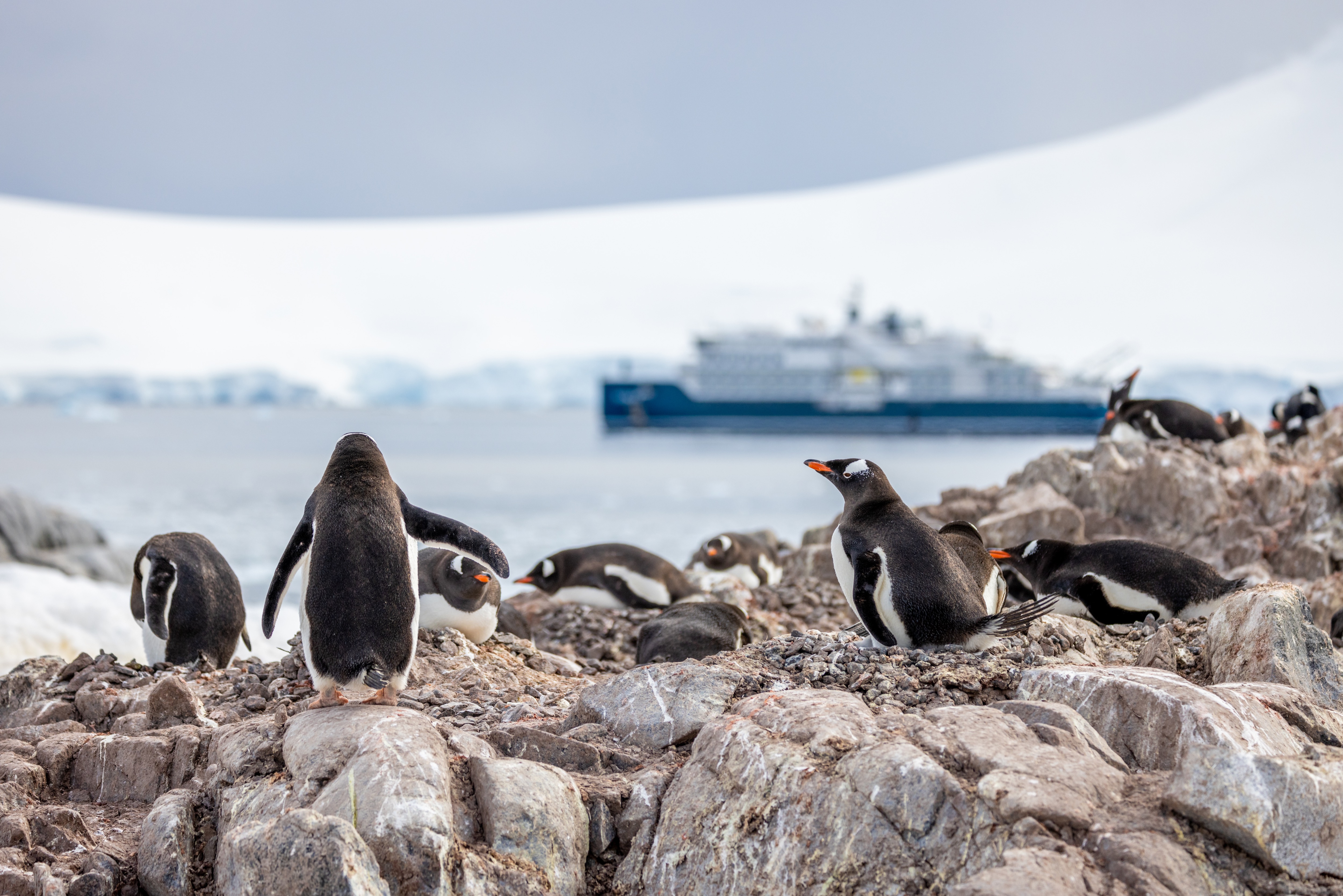 Excursions on SH Minerva